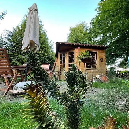 Ferienwohnung Kobisch 65264 شقة